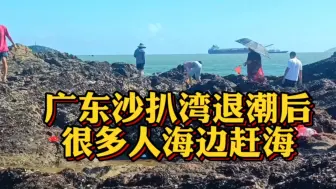 Video herunterladen: 粤西沙扒湾退潮后，蓝天白云，还有人赶海