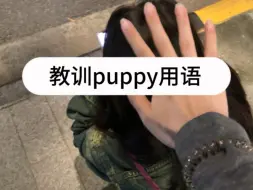 Video herunterladen: 怎么教训puppy