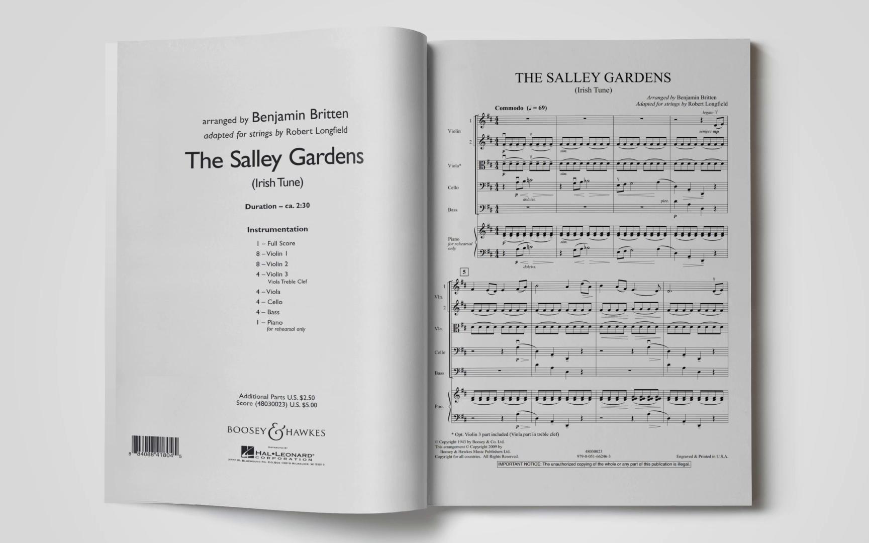 [图]漫步莎莉花园 The Salley Gardens 交响弦乐作品