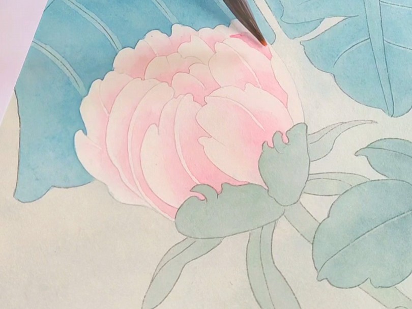 牡丹 小花苞细节 分染 示范