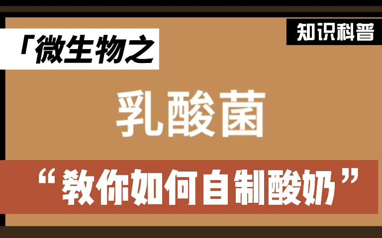 微生物之乳酸菌！快来一起自制酸奶吧！！