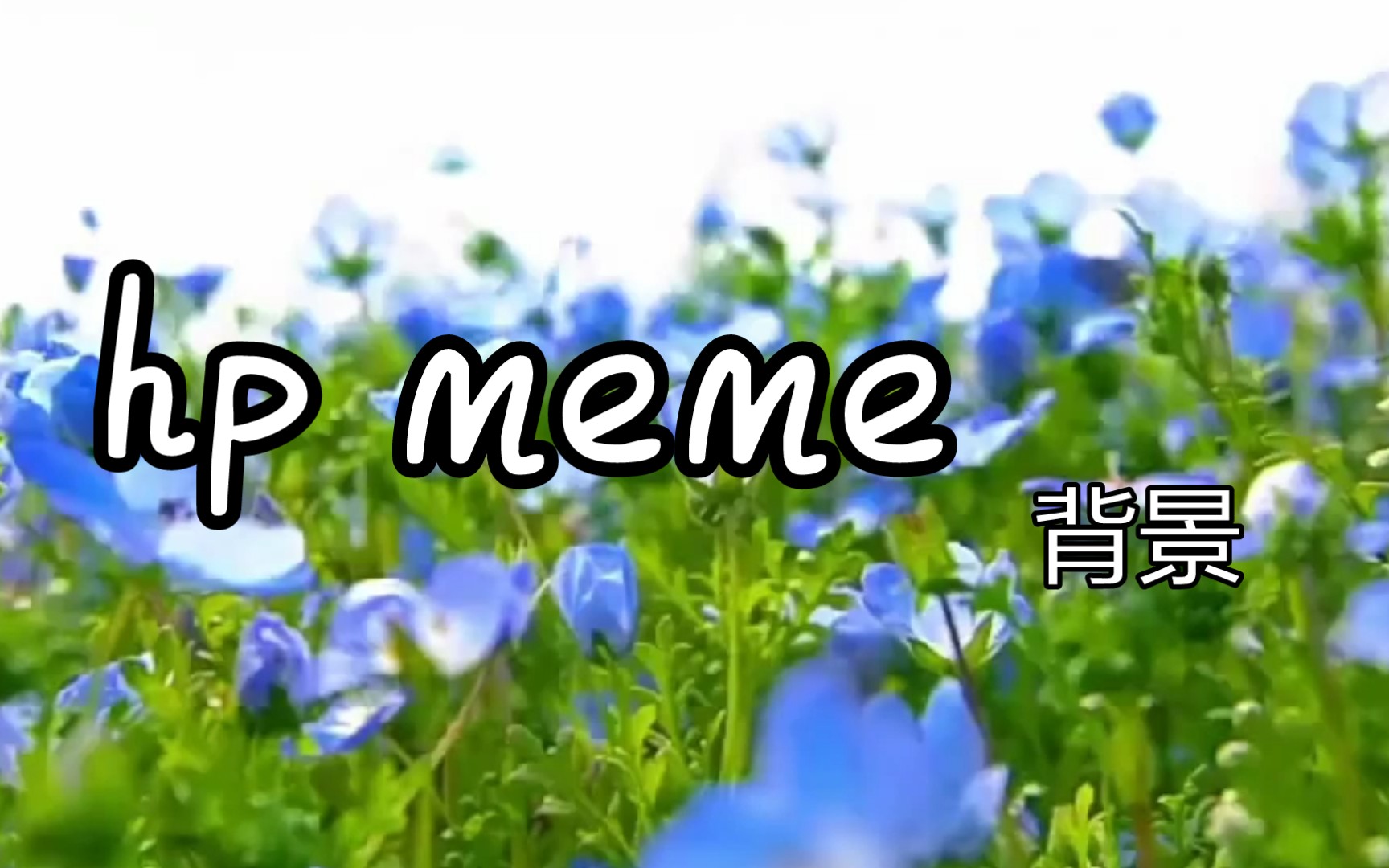 【背景】hp meme哔哩哔哩bilibili