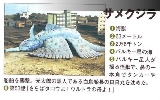 怪兽那些事第八十二节憨憨七号海兽萨梅鲸