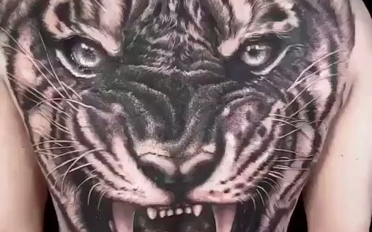 老虎满背纹身图案大全图片