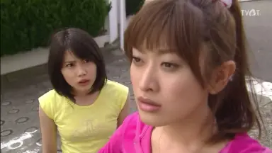 ベースボールヒーローズ　BBH  田尾安志 中日 うとき BBM2009 田尾安志 付録カード