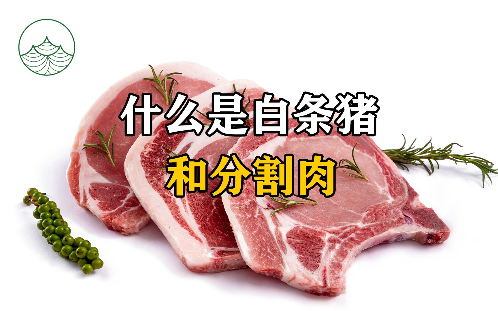 什么是白条肉和分割肉?哔哩哔哩bilibili