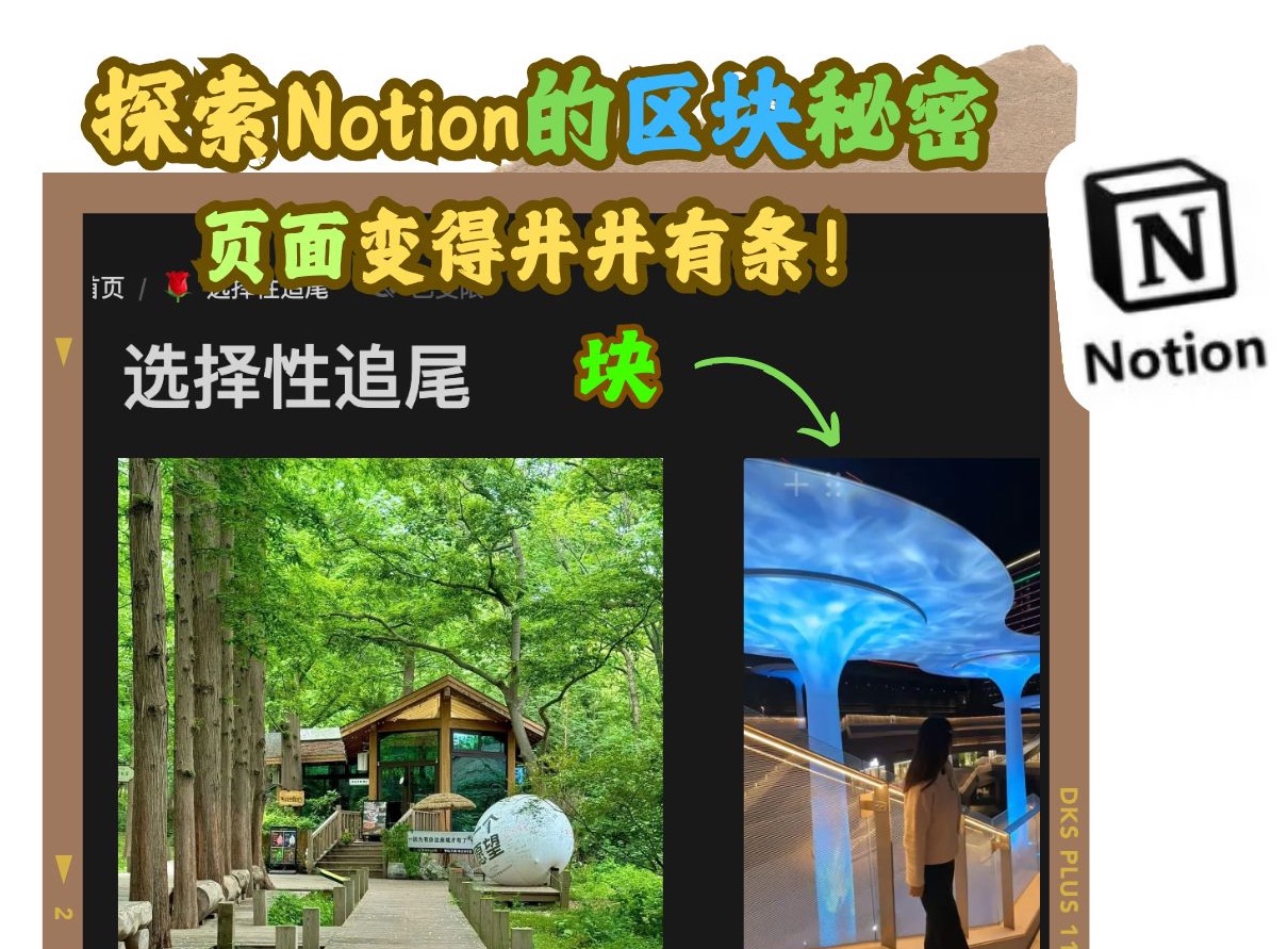 探索Notion的区块秘密,页面变得井井有条哔哩哔哩bilibili