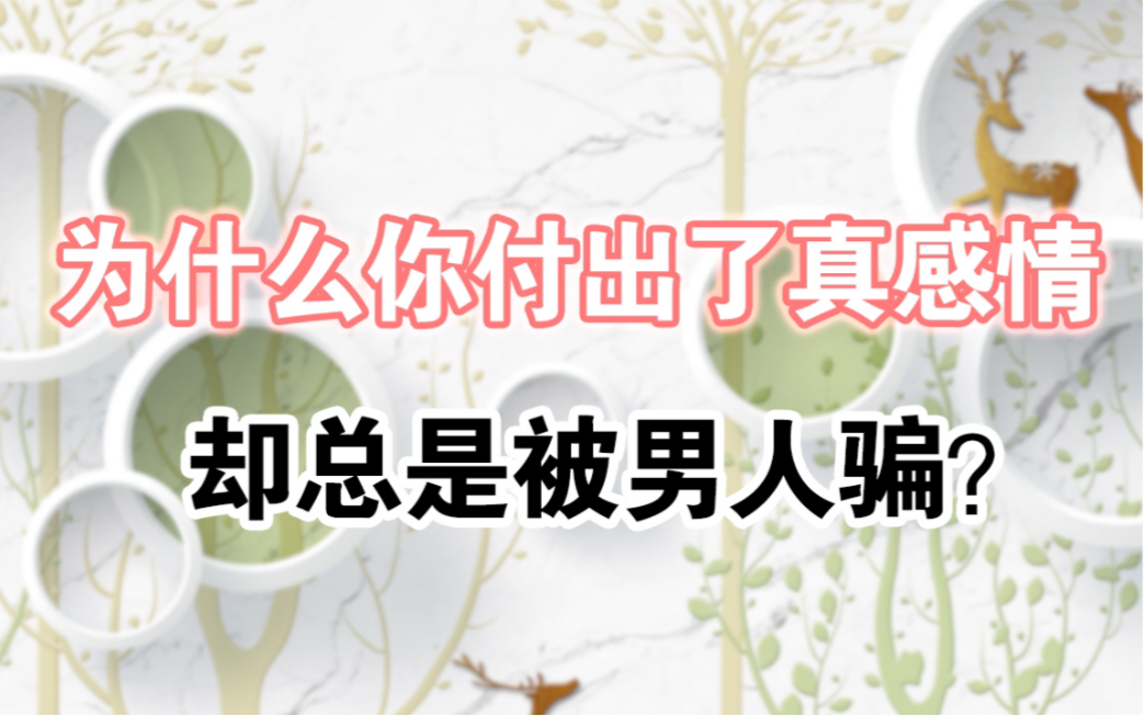 活动作品为什么你付出了感情却总是被男人骗