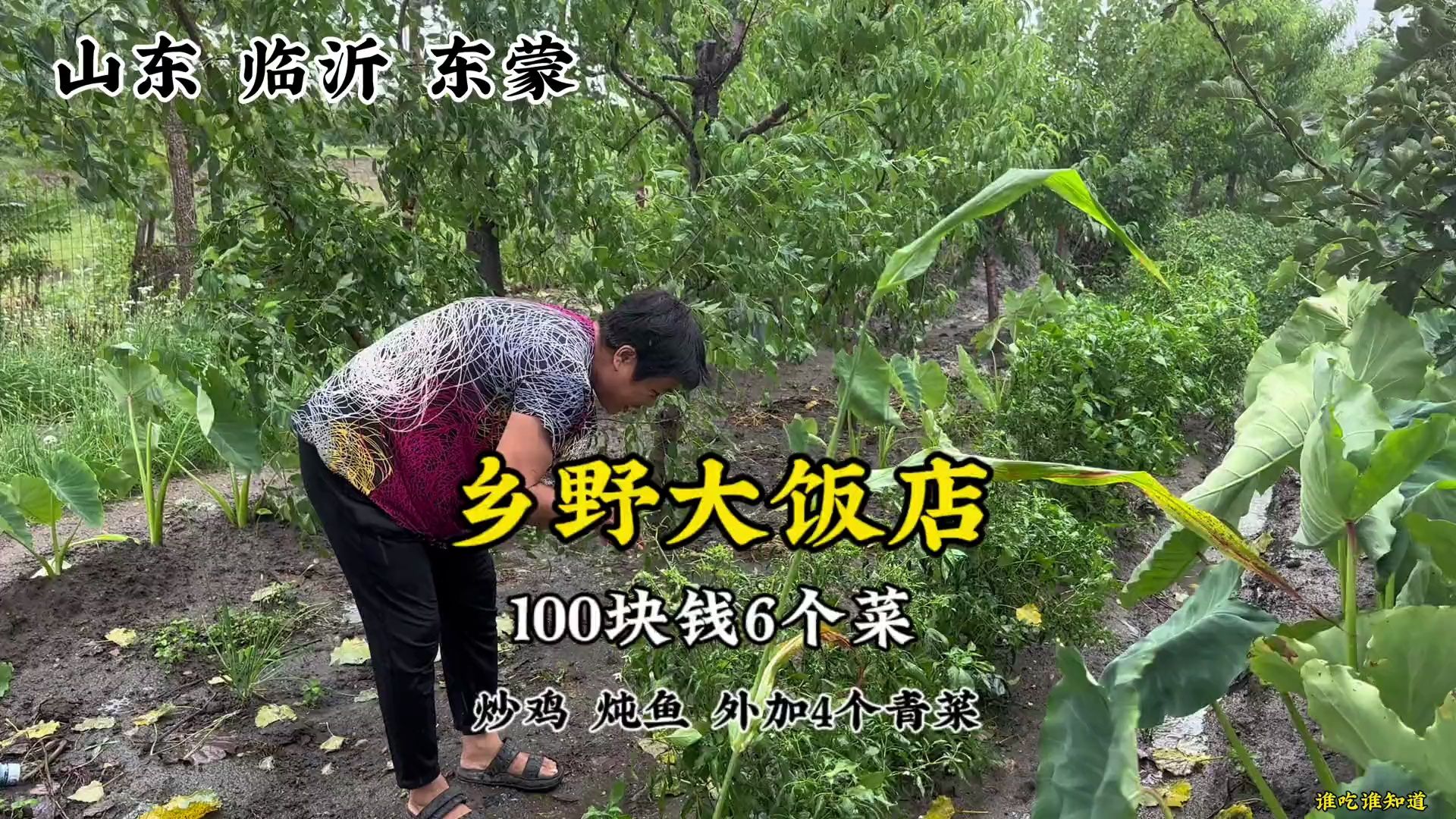 山东临沂乡野大饭店,100块钱6个菜(炒鸡 炖鱼 外加4个青菜)哔哩哔哩bilibili