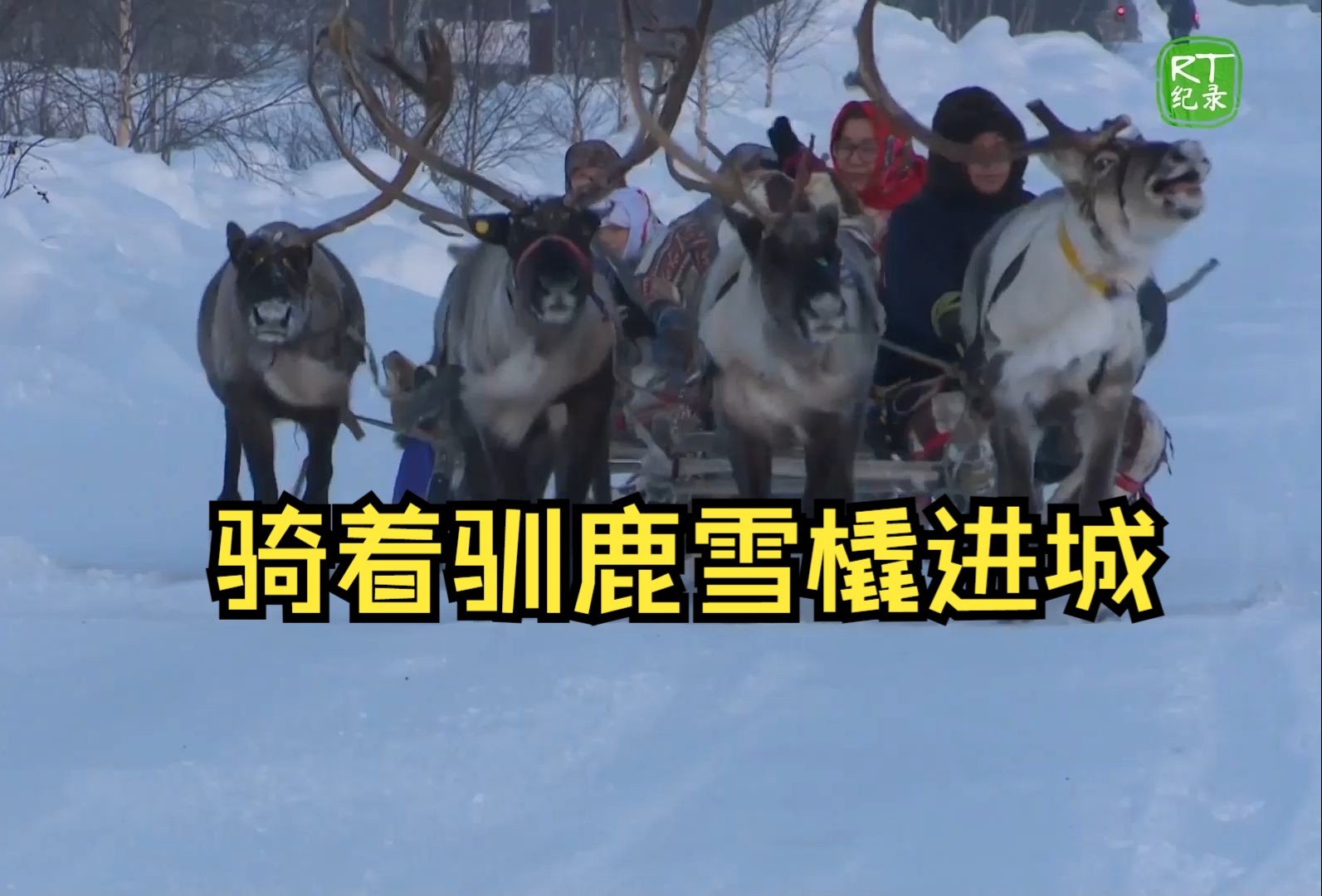 游牧民骑着驯鹿雪橇骑行了50公里去听音乐会哔哩哔哩bilibili