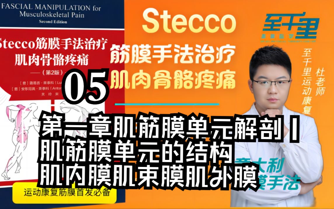 005【Stecco筋膜手法】第一章肌筋膜单元解剖|肌筋膜单元的结构 肌内膜肌束膜肌外膜哔哩哔哩bilibili