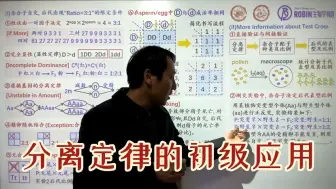 Descargar video: 033分离定律的初步应用：①精卵随机结合；②配子成活率；③合子成活率；④棋盘法