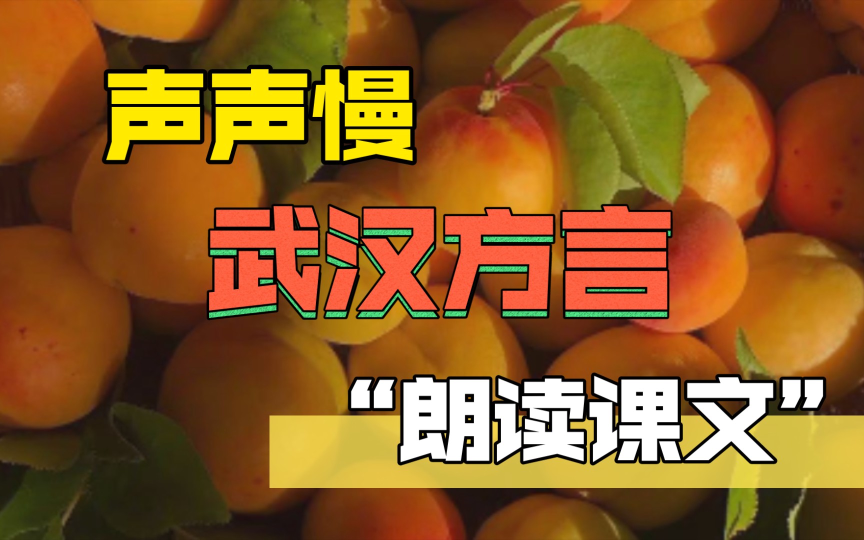 【cv声声慢】武汉方言朗诵(听得懂的自行脑翻吧,up无能为力)