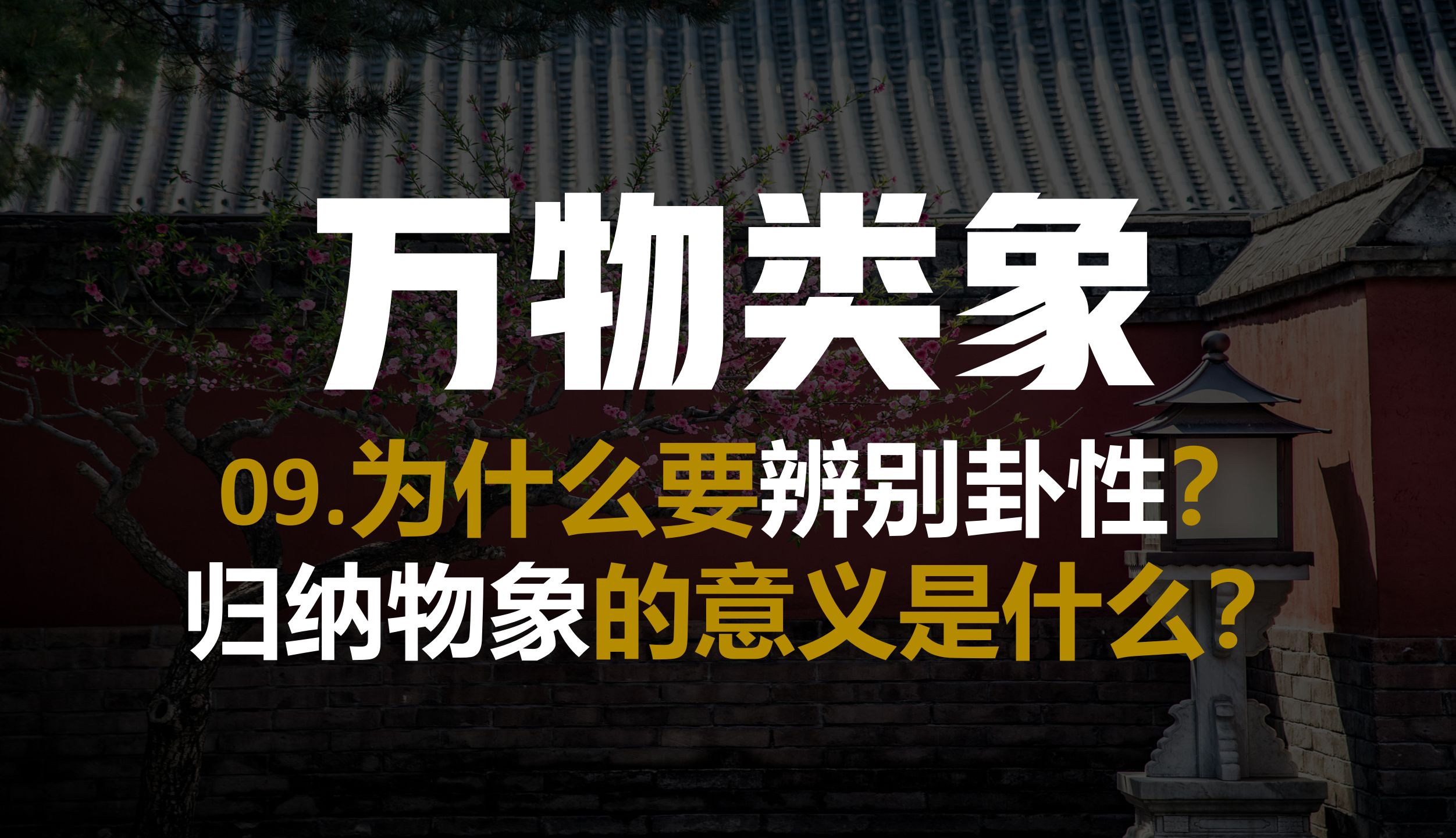 09.万物类象篇(三),讲透《说卦传》八卦类象的归纳原理,归纳物象的意义是什么?哔哩哔哩bilibili