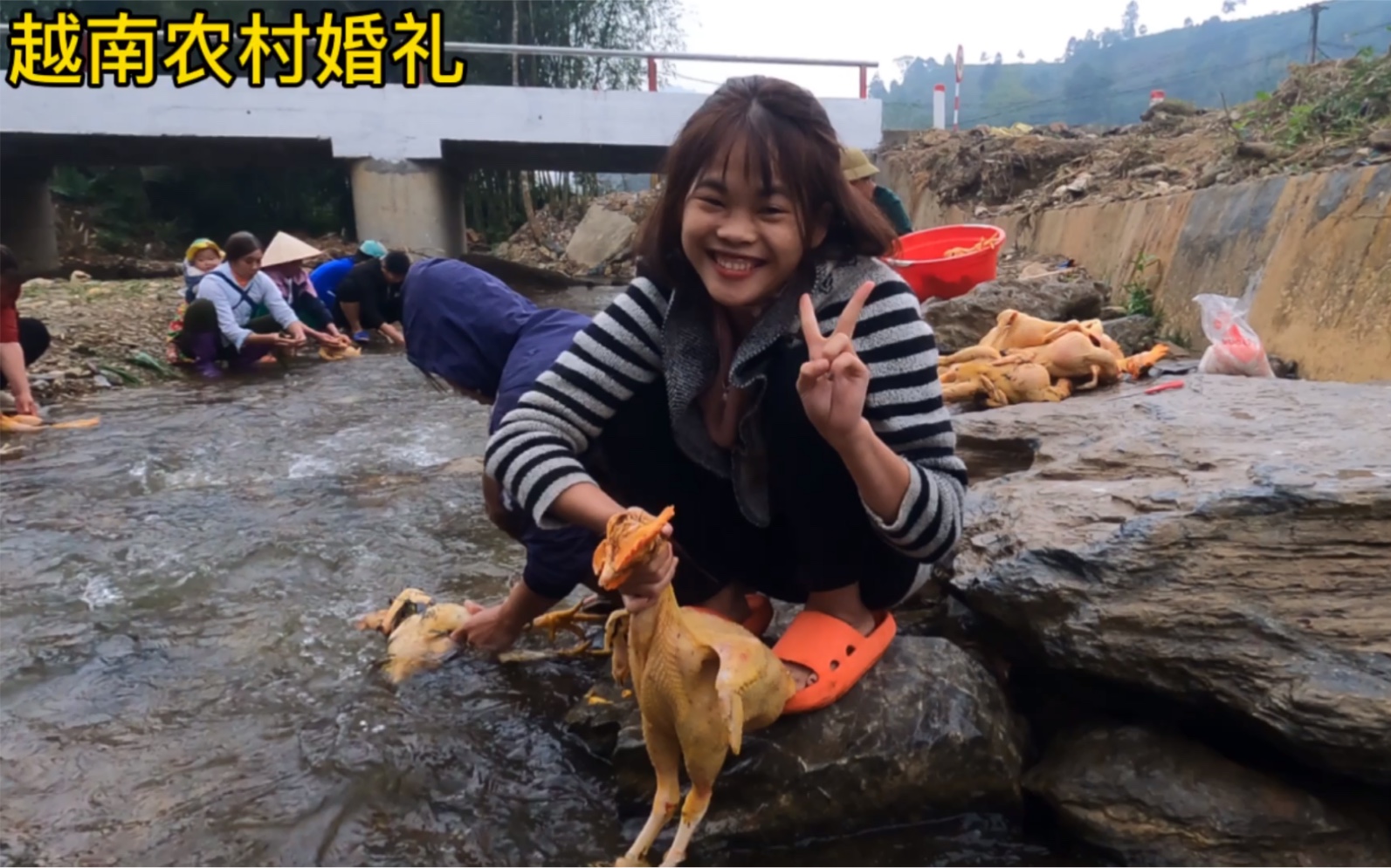 在越南农村跟美女一起参加婚礼,她拔鸡毛太厉害了.