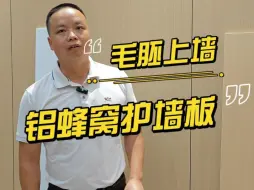 Télécharger la video: 找防火防潮，颜色还可以多选的护墙板，不妨看看铝蜂窝护墙板#旺达福铝蜂窝板 ##护墙板 #蜂窝板