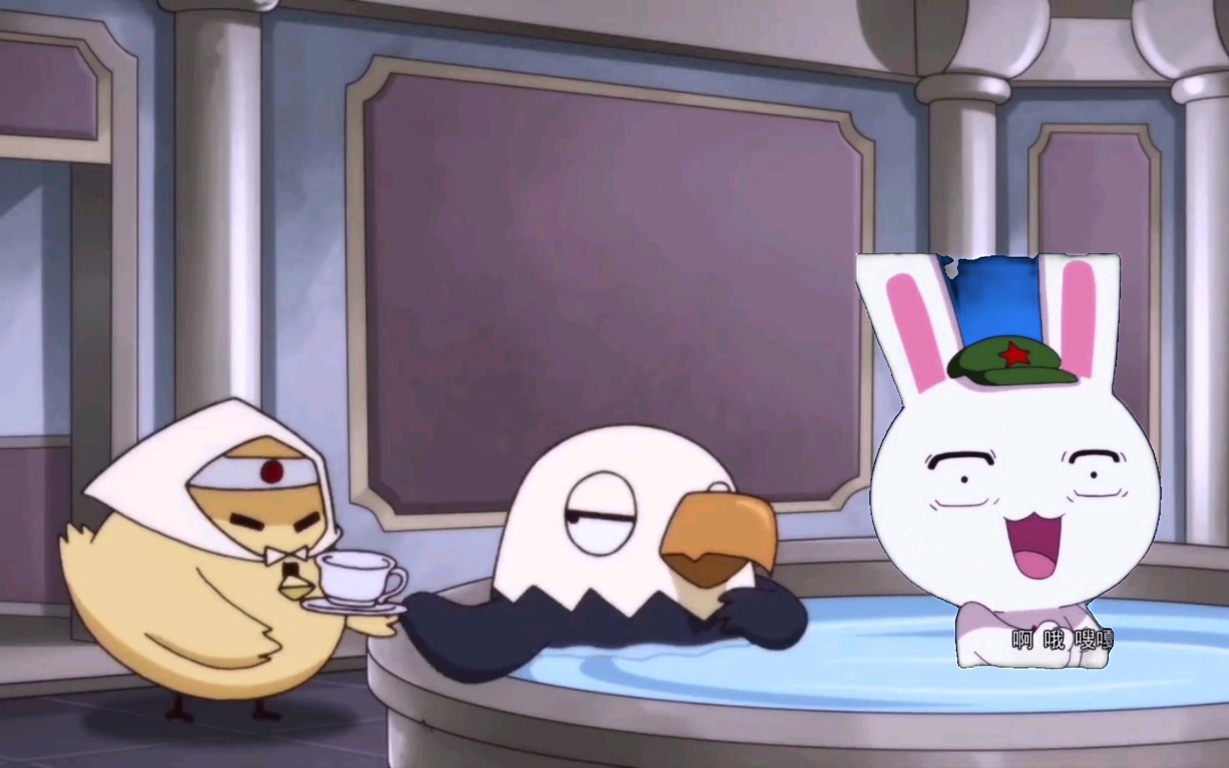 兔子悟了!为什么脚盆鸡每个月像来亲戚一样,阴晴不定!98