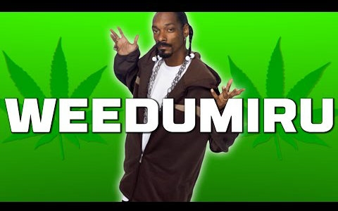 snoopy丶琪露诺丶doggy(weedumiru)