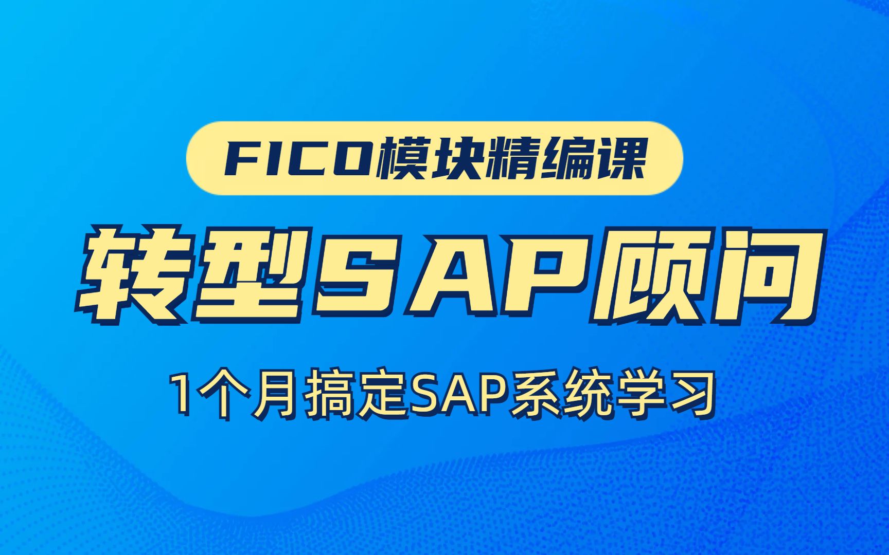 FICO模块精讲课 转型SAP顾问 零基础学习哔哩哔哩bilibili