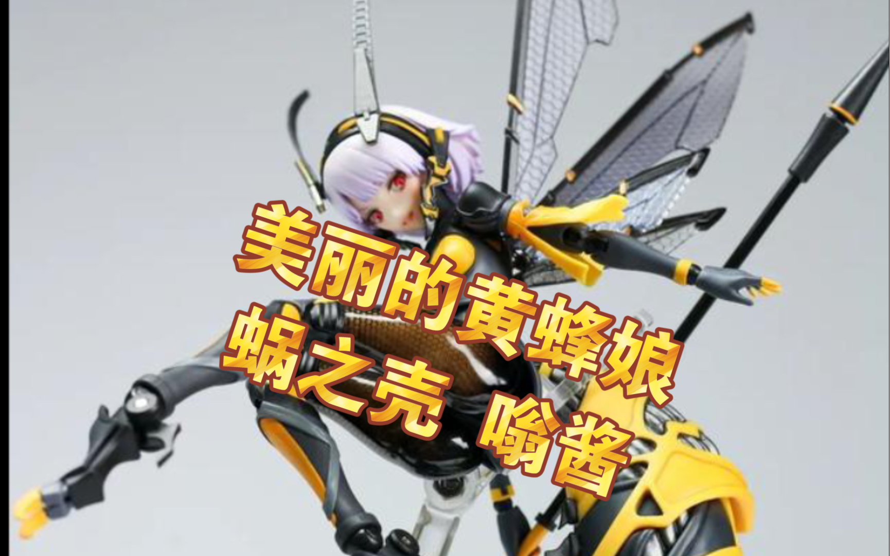 【模玩测评】美丽的黄蜂 蜗之壳 嗡酱测评