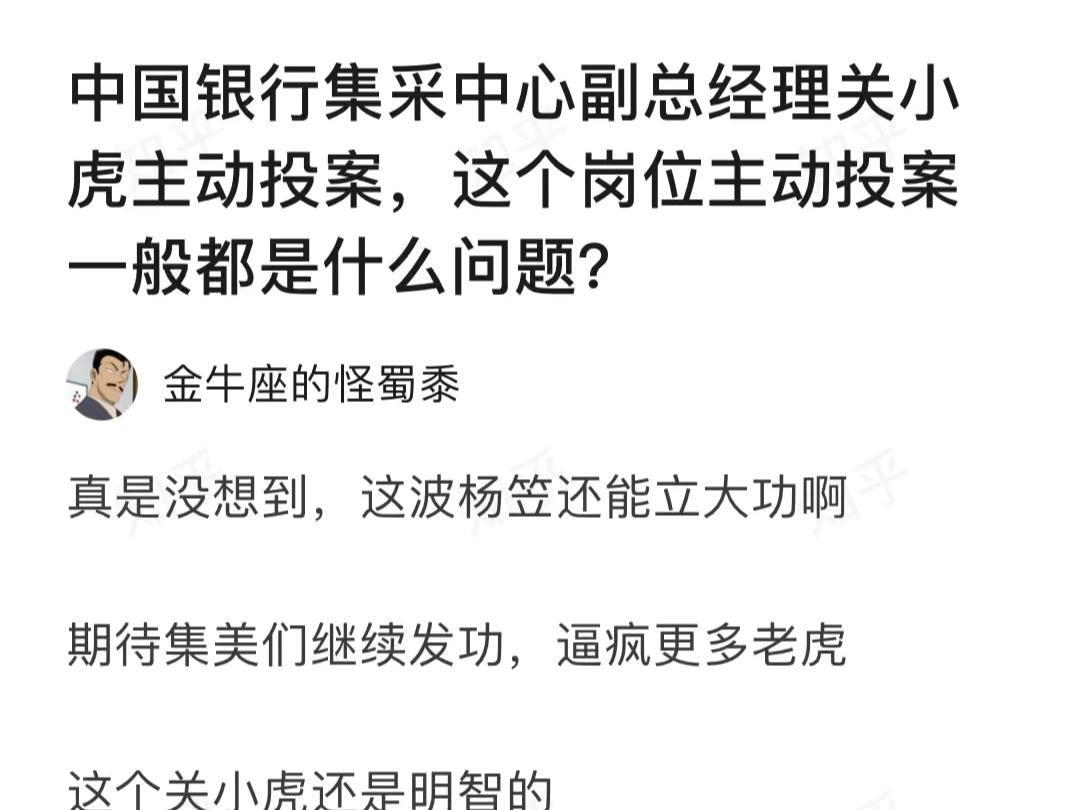 中国银行集采中心副总经理关小虎主动投案,这个岗位主动投案一般都是什么问题?哔哩哔哩bilibili