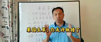 Download Video: 哪个草种更适合果园生草？