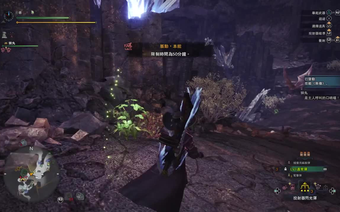 授权转《MHW》轻弩历战恐暴龙2分52(详细介绍看简介)哔哩哔哩bilibili