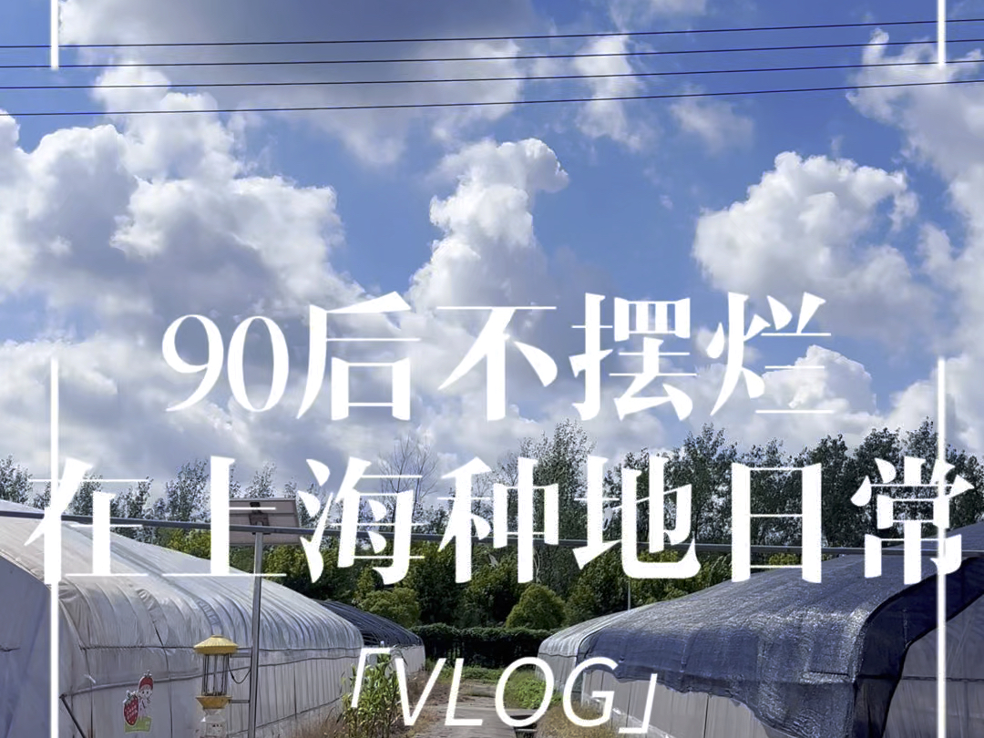 90后上海青年转型“田主”从CBD到田园,不摆烂种地Vlog大放送哔哩哔哩bilibili