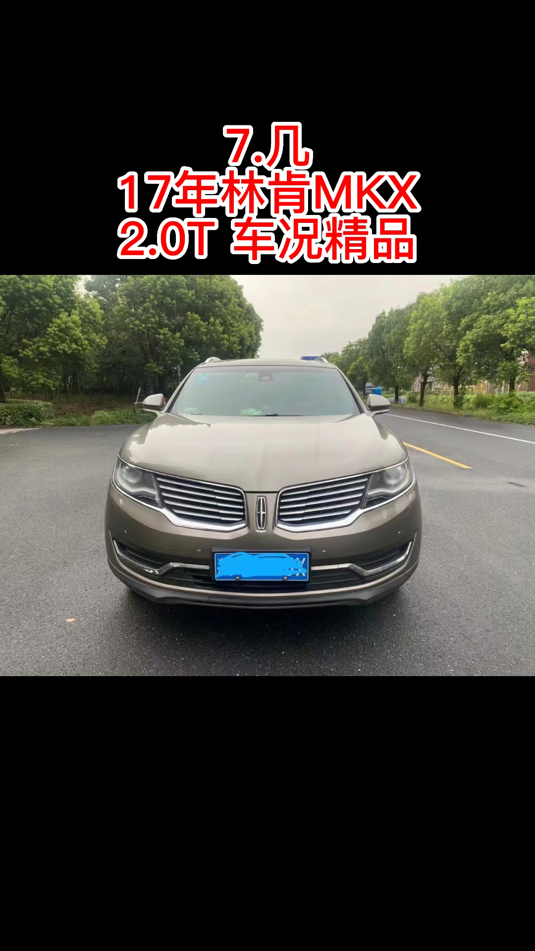 正规抵押车,17年林肯MKX,2.0T四驱,座椅通风加热,按键档,一键启动,分区空调,电动后尾门,密码门锁,双电动真皮座椅,全景天窗,配置多得说不...