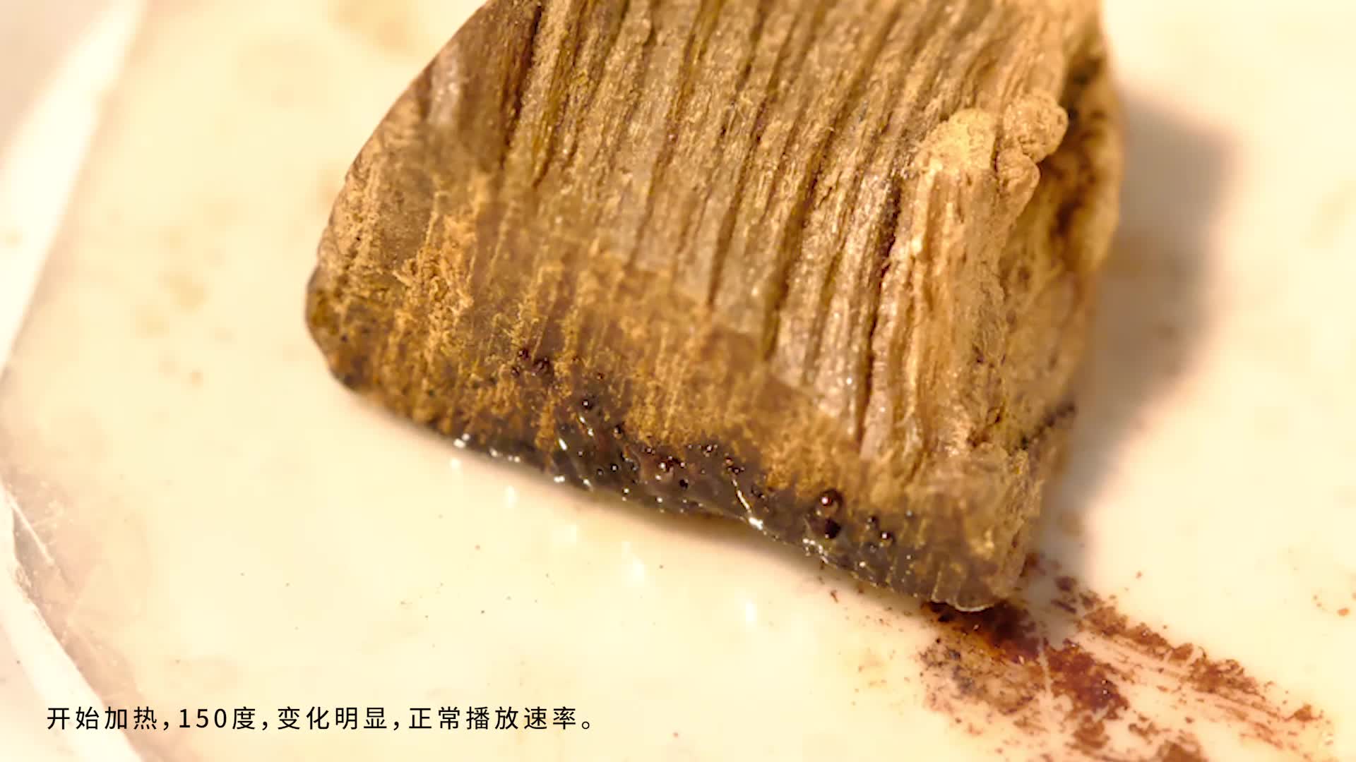 带你领略不一样的沉香微观世界@大连云社