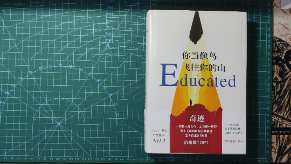 [图]【学习打卡】7/读《你当像鸟飞往你的山》第一部分:我的双脚已离开土地