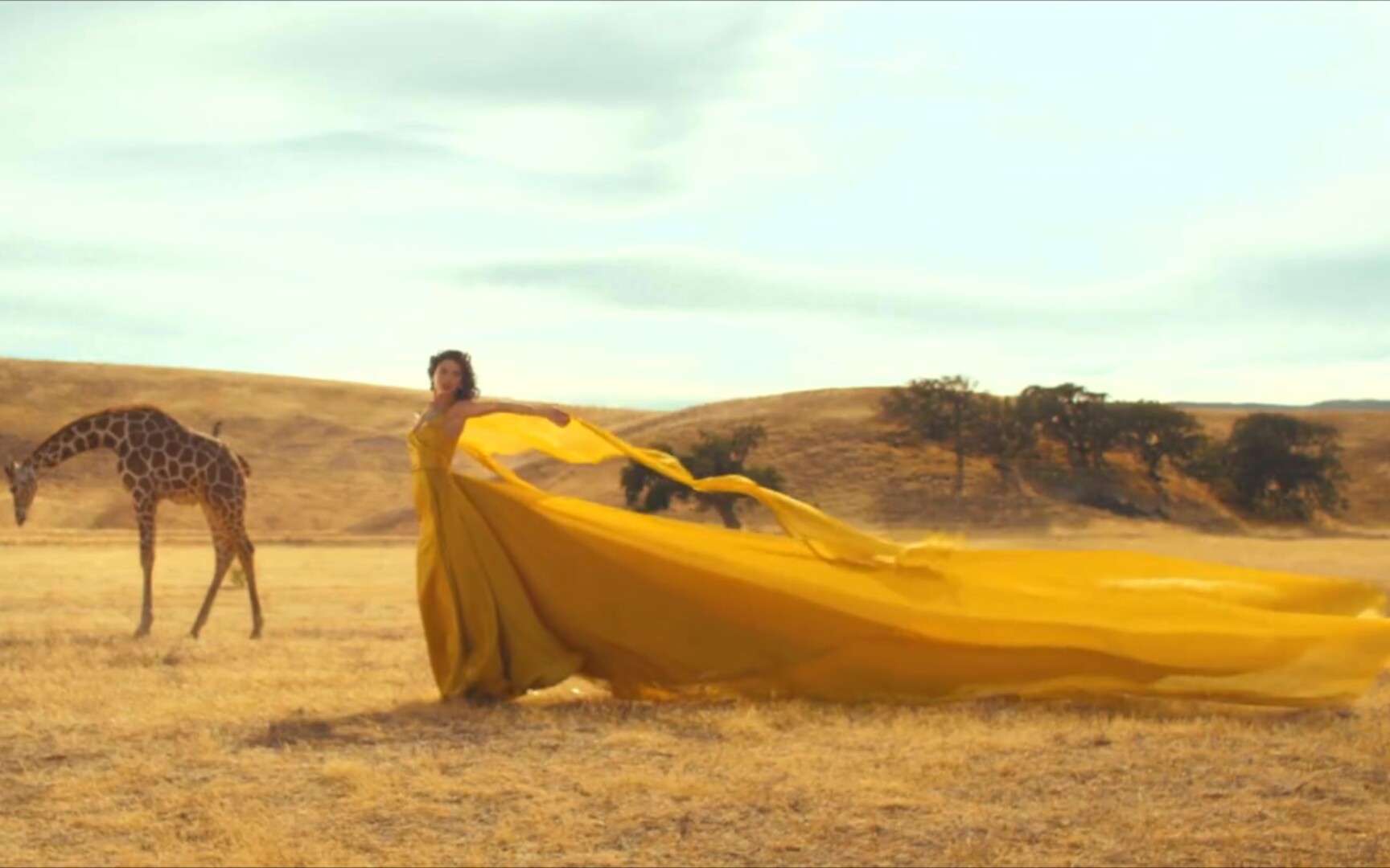 【taylor swift】wildest dream mv提取图片(选取局部)_哔哩哔哩_bili