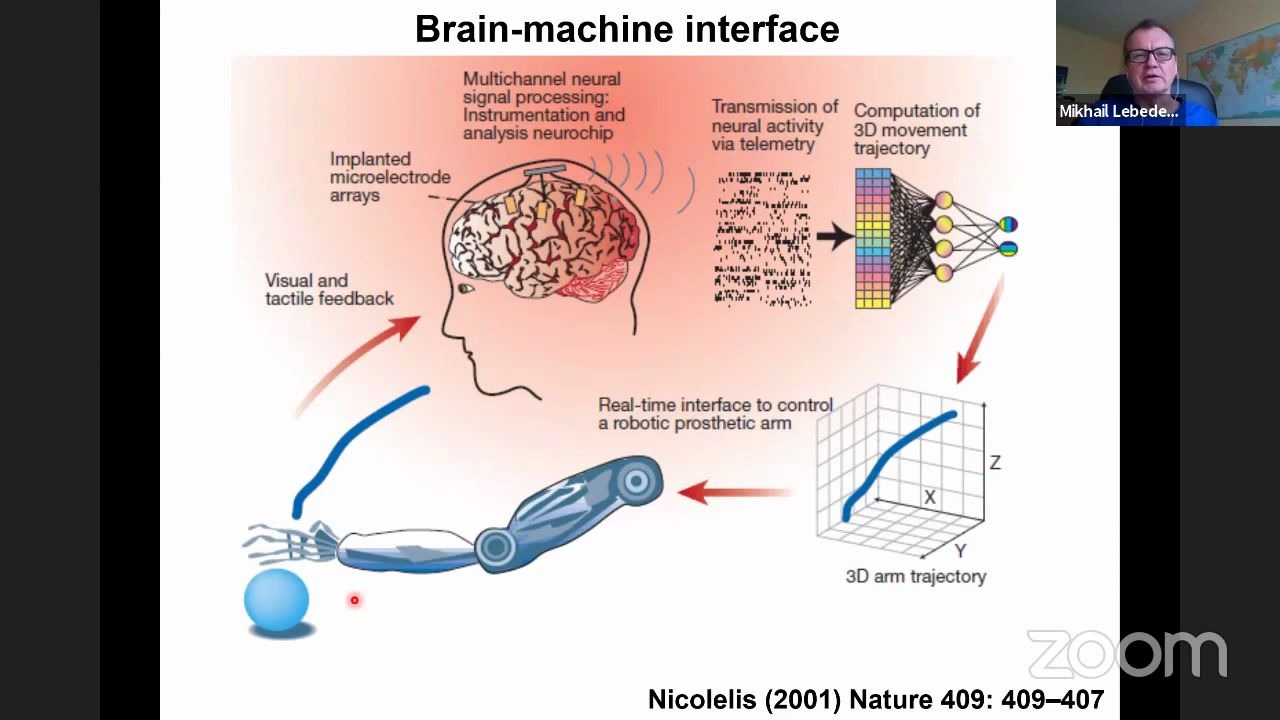 BCI101  Day 3  'Neurophysiology basis of brainmachine interfaces' with Dr. M哔哩哔哩bilibili