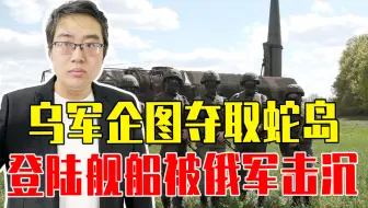 乌军企图夺取蛇岛，登陆舰船被俄军击沉，机降特种兵被乱枪打死