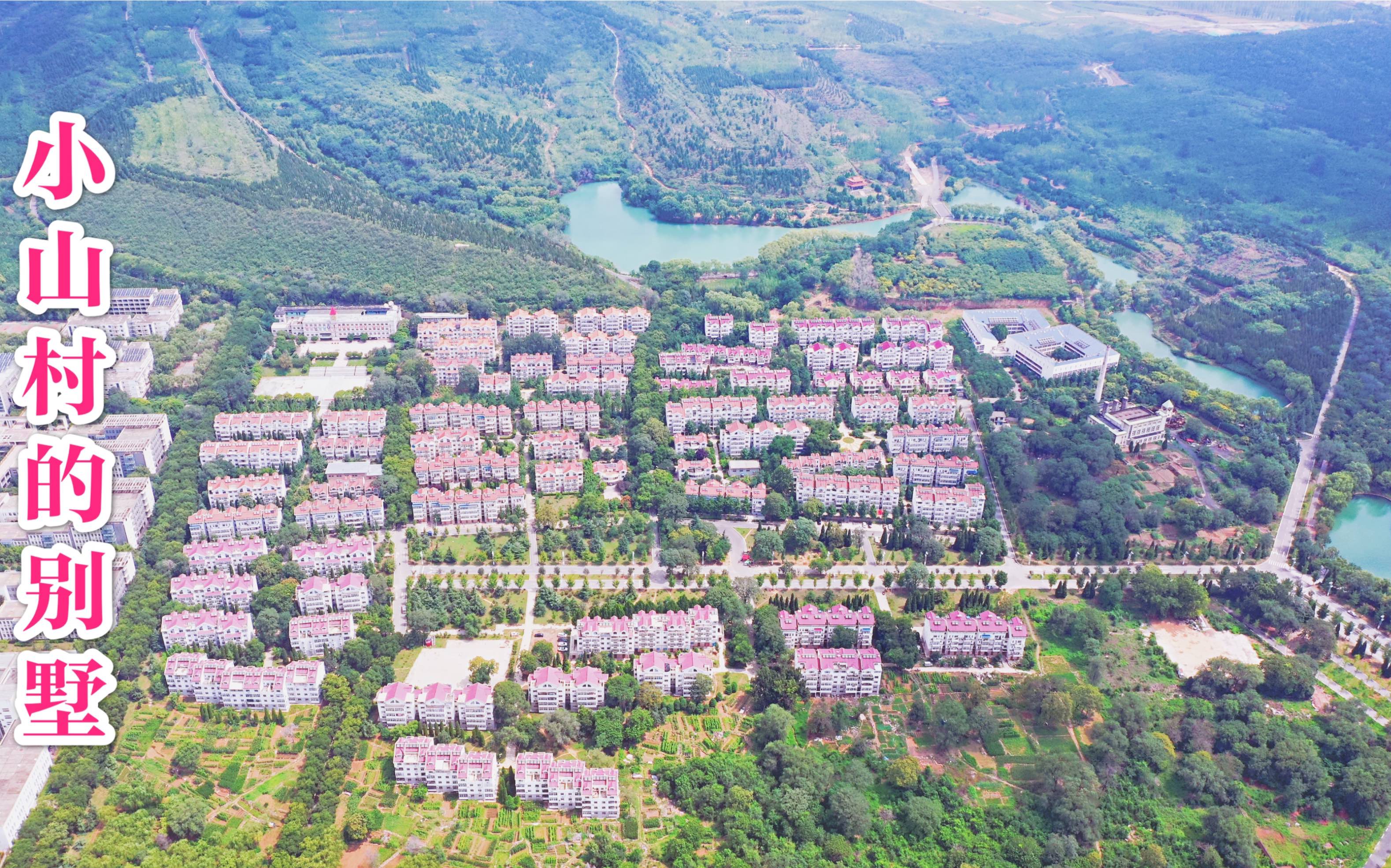 河北沙河美丽新农村,家家户户住别墅,建设的和大城市的有区别吗?哔哩哔哩bilibili