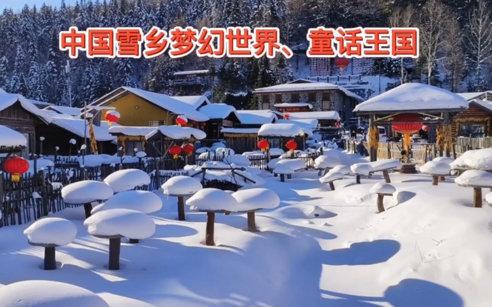 中国雪乡是怎么发现的?这里的雪有何不同?雪乡旅游全景实拍哔哩哔哩bilibili