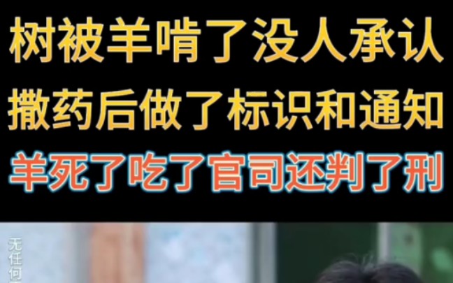 树被羊啃没人承认,撒药后做了标识和通知,羊死了吃了官司还判了刑 "药 "树叶 "赔偿哔哩哔哩bilibili