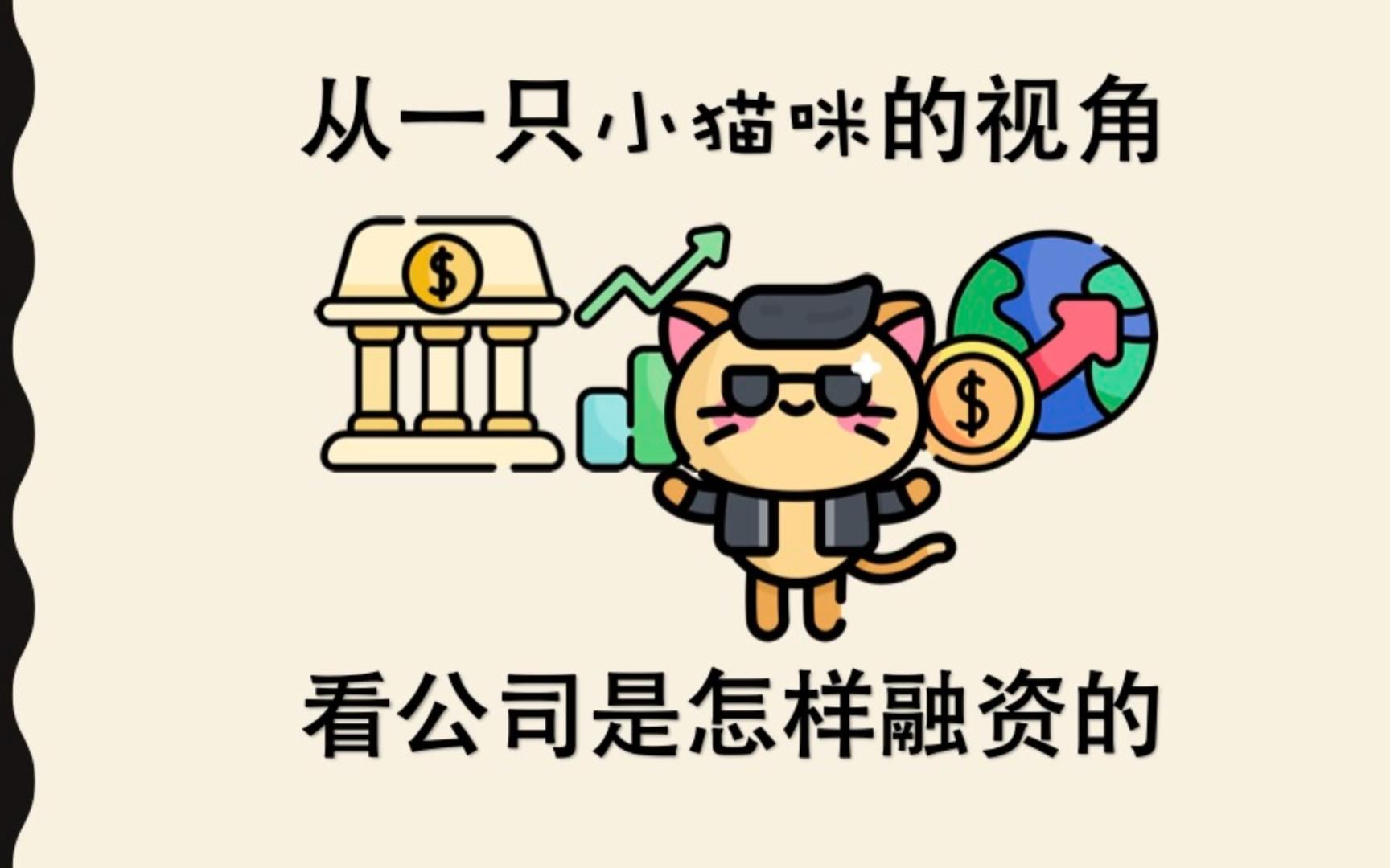 [图]从一只小猫咪的视角看公司是怎样融资的