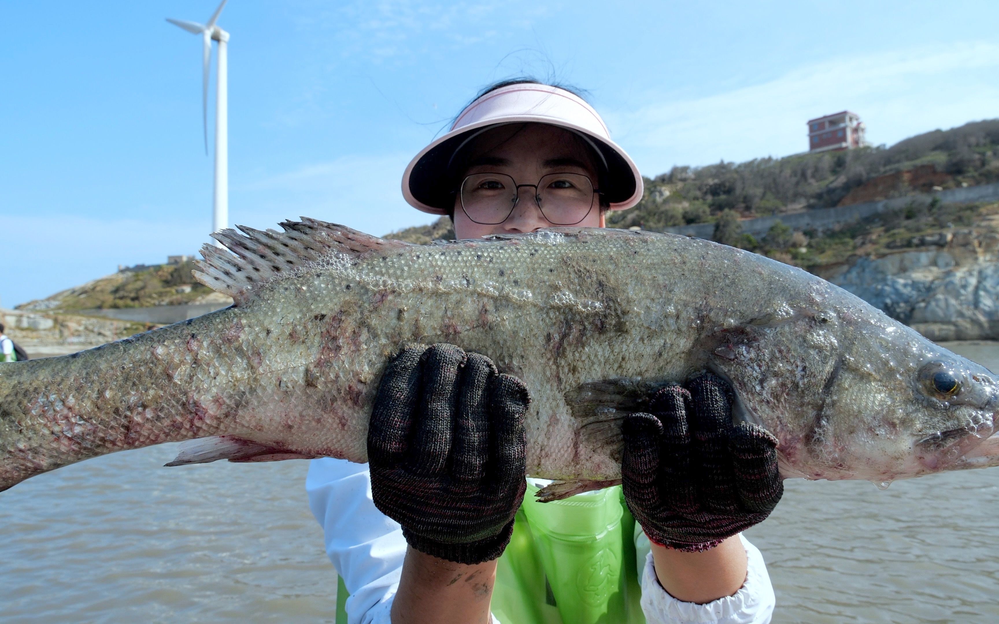 大梅退潮后赶海,巨型海坑被抽干,遍地皮皮虾抓到手软!