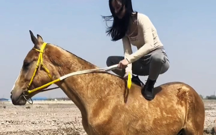 [图]马背上的女汉子。