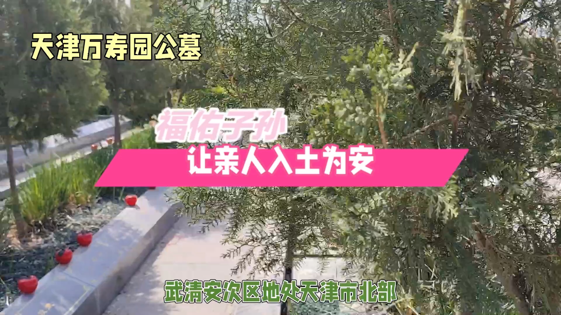 万寿园公墓-入土为安