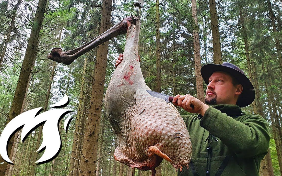 【荒野火厨】p84烤鸵鸟腿,美食白噪音烹饪美滋滋.