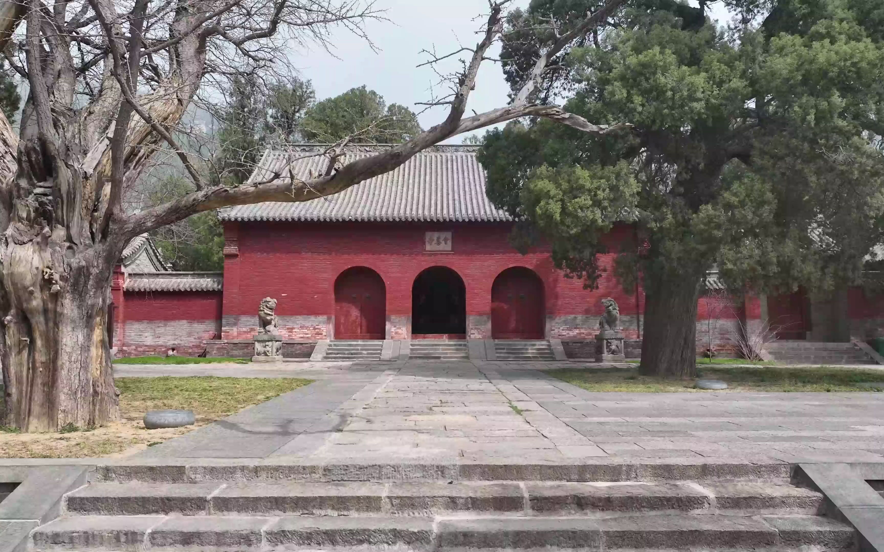 会善寺门票图片