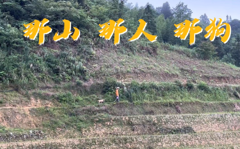 [图]《那山 那人 那狗》