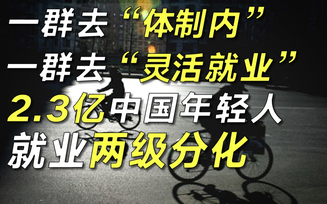 一边是500万人疯狂涌向体制内,一边是上亿人灵活就业:为什么中国年轻人的就业选择两极分化?【毯叔盘钱】哔哩哔哩bilibili