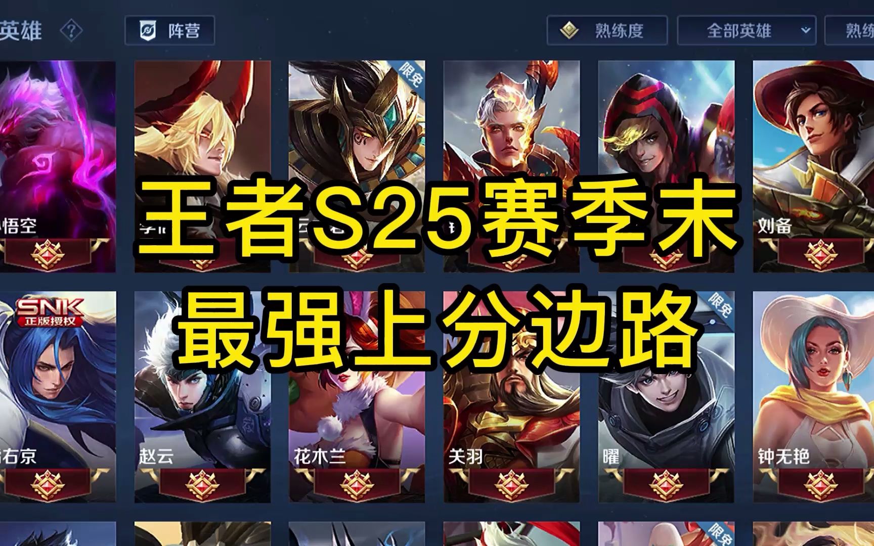 王者s25赛季末最强上分边路(横版)
