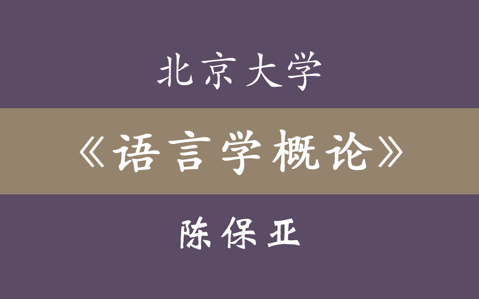 [图]北京大学《语言学概论》陈保亚 45集全