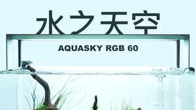 你真的需要一盏入门级水草灯吗 尼特利兰保n5使用体验 哔哩哔哩 つロ干杯 Bilibili 你真的需要一盏入门级水草灯吗 尼特利兰保n5使用体验 哔哩哔哩 つロ干杯 Bilibili