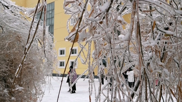 [图]哈尔滨的雪与冰