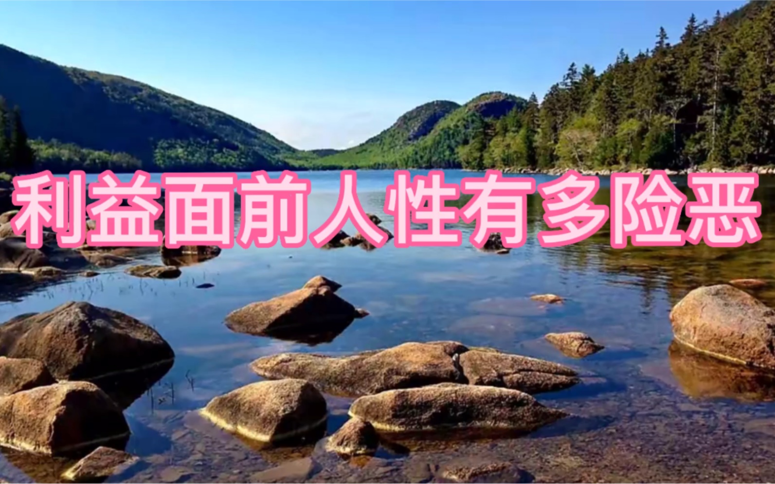 利益面前人性有多险恶._哔哩哔哩_bilibili